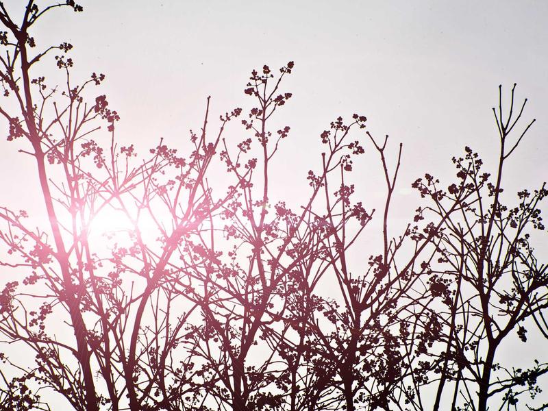 sudoku iq test screenshot 4